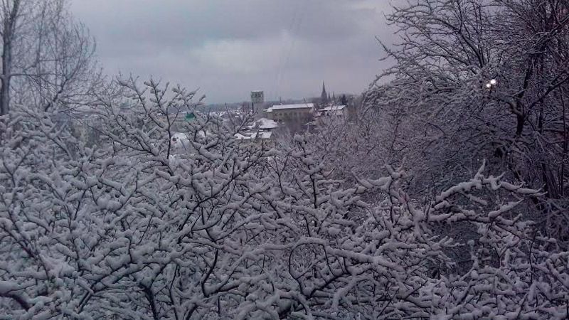 Посеред весни Львів засипало снігом