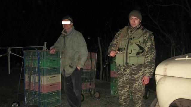Українець хотів незаконно перевезти до Росії близько 250 гусенят