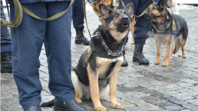 Правоохранители искали взрывчатку в торговом центре в Киеве