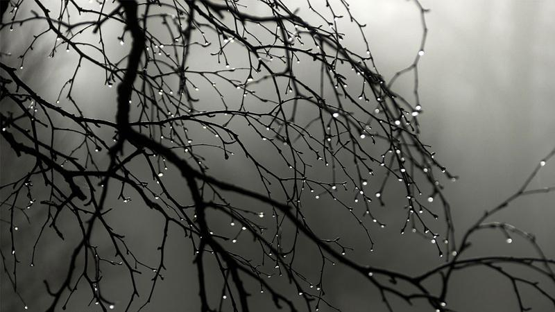 Погода на 6 апреля: в Украине до сих пор мокро и прохладно