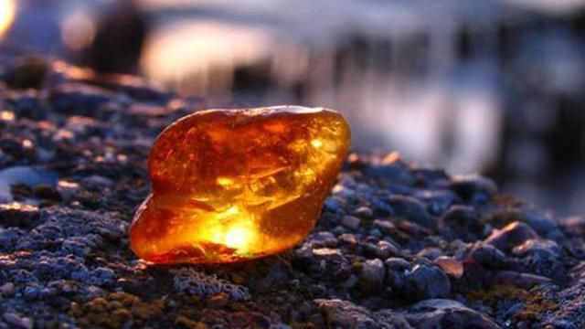 СБУ обвиняет ставленника "Свободы" в незаконной добыче янтаря СБУ обвиняет ставленника "Свободы" в незаконной добыче янтаря