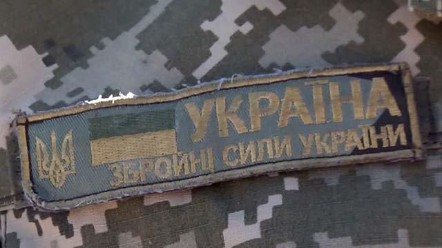 Демобилизован отряд бойцов военно-воздушных сил Украины "Дикая утка"