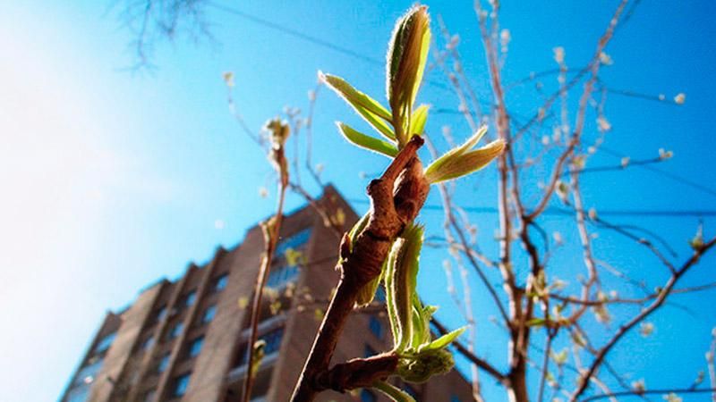 Погода на 10 квітня: в Україну йде справжнє потепління Погода на 10 квітня: в Україну йде справжнє потепління