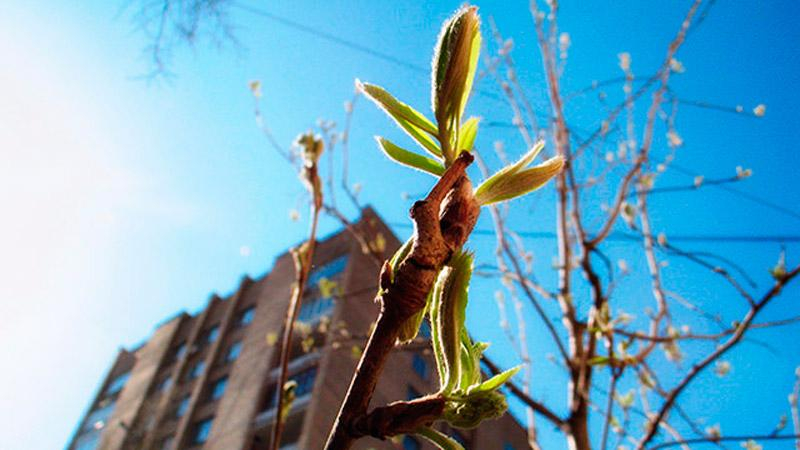 Погода на 10 апреля: в Украину идет настоящее потепление