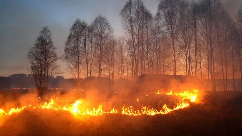 Майже 60 росіян постраждали від пожеж у Південному Сибірі