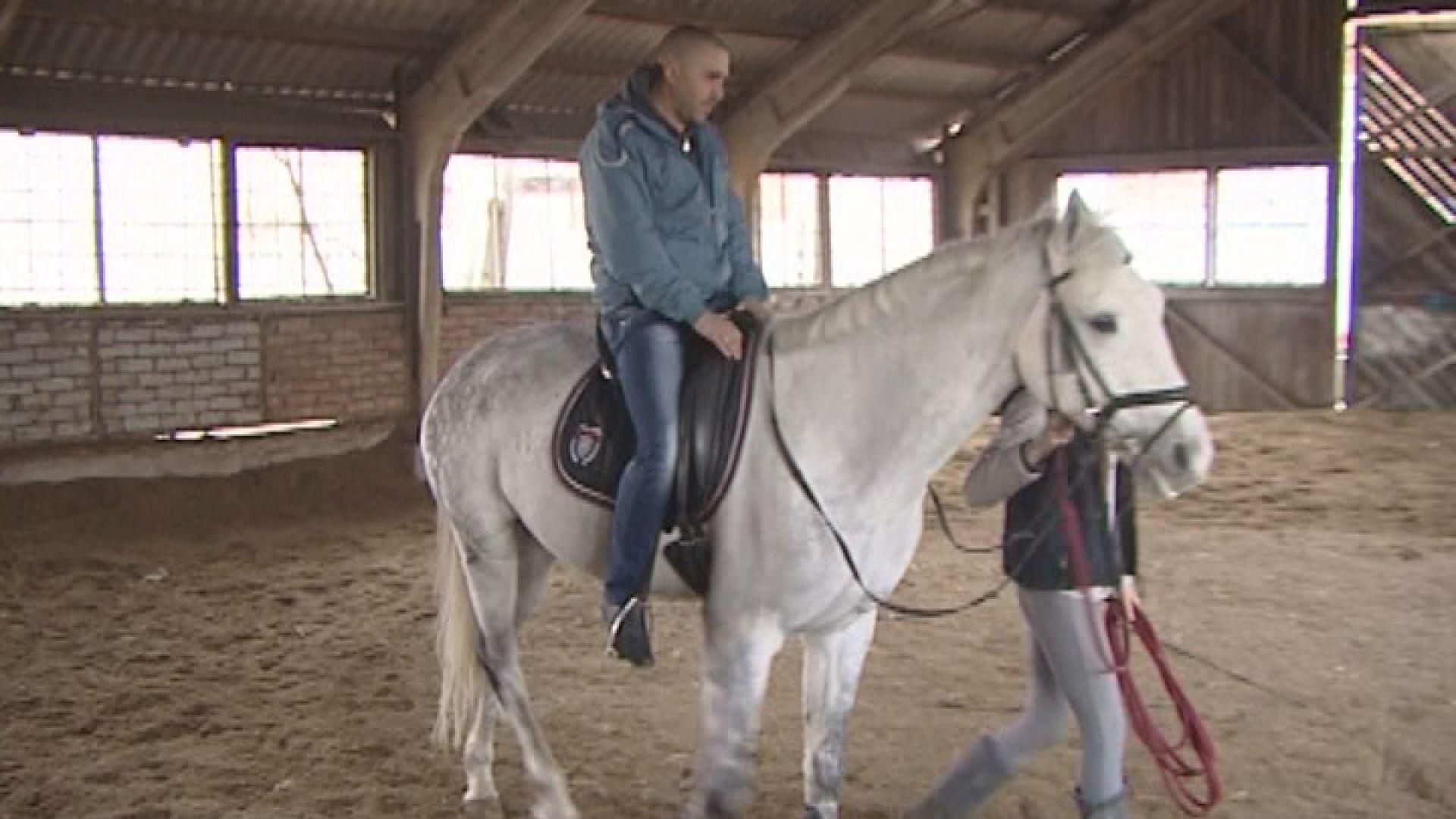 У Миколаєві бійців АТО лікують спілкуванням з конями