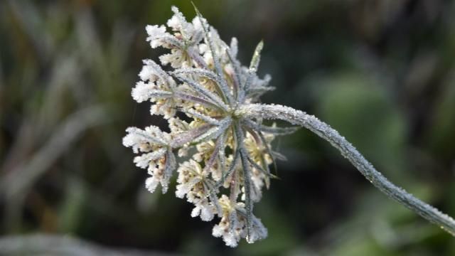В Украине существенно похолодает В Украине существенно похолодает