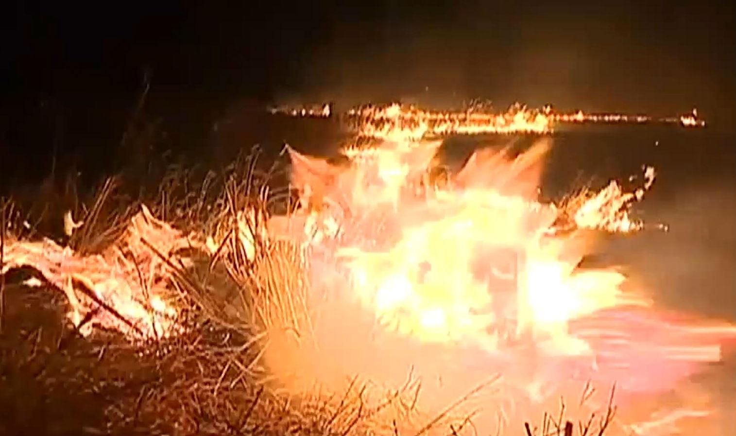 Невблаганний вогонь: масштабні пожежі в Росії