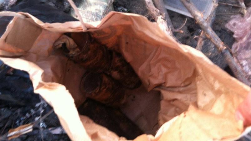 В Одессе СБУ обнаружила на свалке тайник пророссийских активистов со взрывчаткой