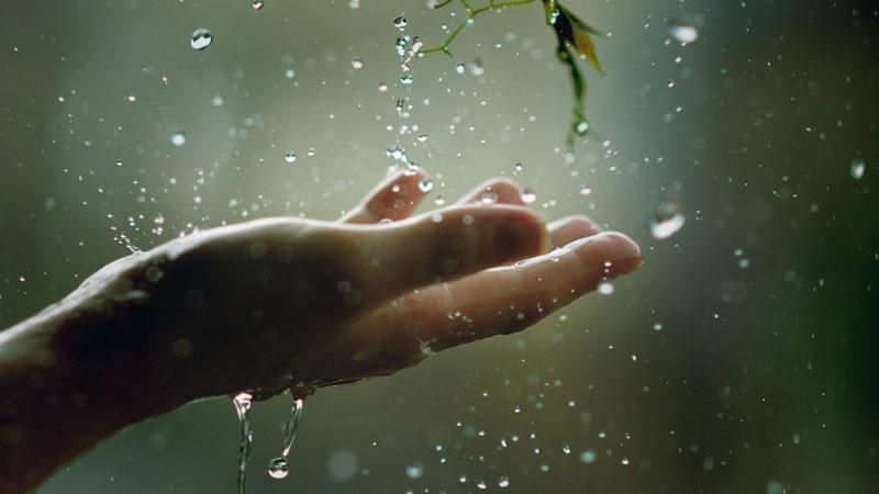 Погода на 16 апреля: в Украину придет тепло с дождем Погода на 16 апреля: в Украину придет тепло с дождем