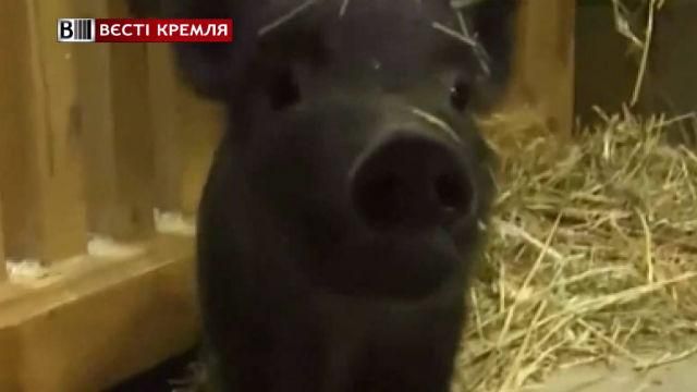 В Волгограде появился свой Барак Обама В Волгограде появился свой Барак Обама