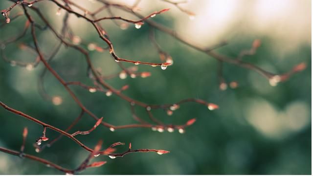 Погода на 17 апреля: похолодание и дождь Погода на 17 апреля: похолодание и дождь