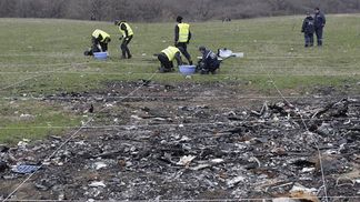 Демонстрація у музеї уламка збитого Boeing — це образа, — МЗС Нідерландів