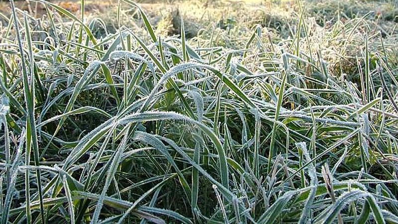 Погода на 19 апреля: в Украине возможны заморозки Погода на 19 апреля: в Украине возможны заморозки