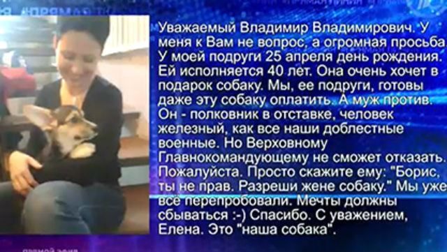 Російський полковник після наказу Путіна таки купив дружині собаку Російський полковник після наказу Путіна таки купив дружині собаку