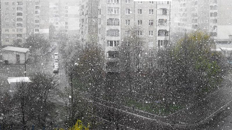 А за окном почти весна. Львов засыпает снегом А за окном почти весна. Львов засыпает снегом