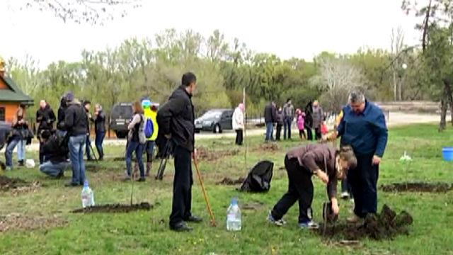 "Гай памяти" высадили в Днепропетровске