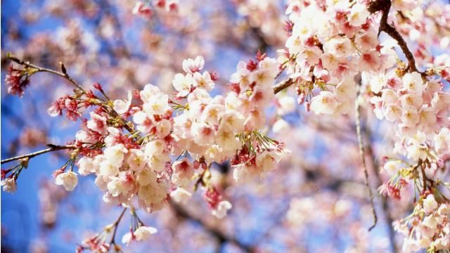 Погода на 24 апреля: в Украине будет сухо и тепло Погода на 24 апреля: в Украине будет сухо и тепло