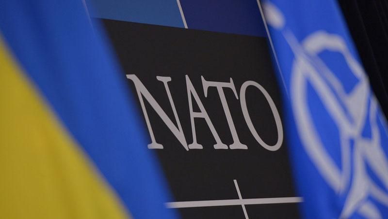 Когда Украина вступит в НАТО — прогноз эксперта