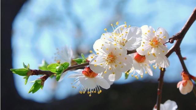 Погода на 26 апреля: В Украине по-летнему тепло Погода на 26 апреля: В Украине по-летнему тепло