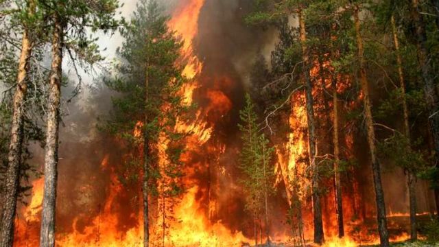 Россия и дальше в огне. За сутки площадь пожаров в Забайкалье выросла на 30 тысяч га