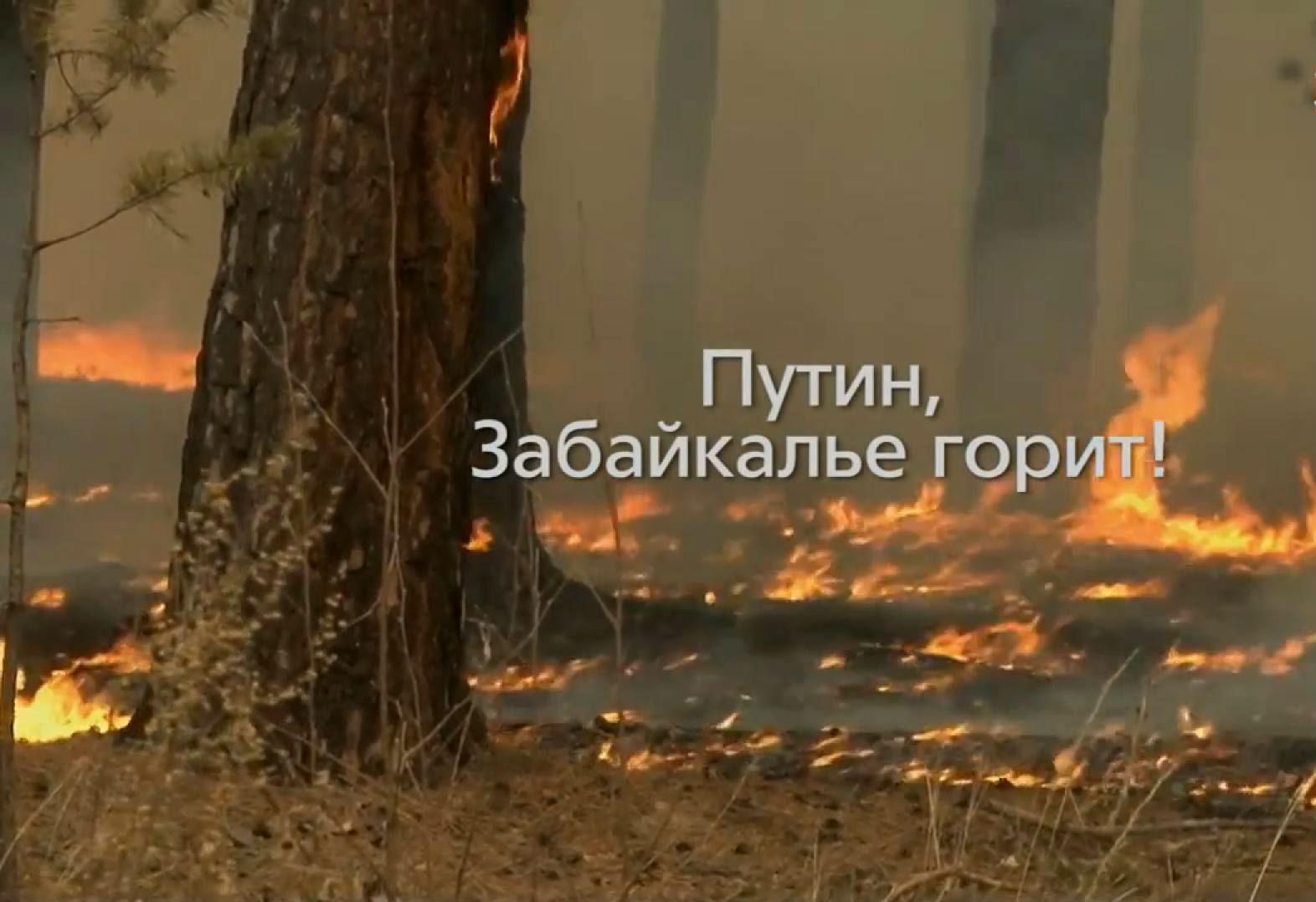 Крупным планом. Почему горит Сибирь? Крупным планом. Почему горит Сибирь?