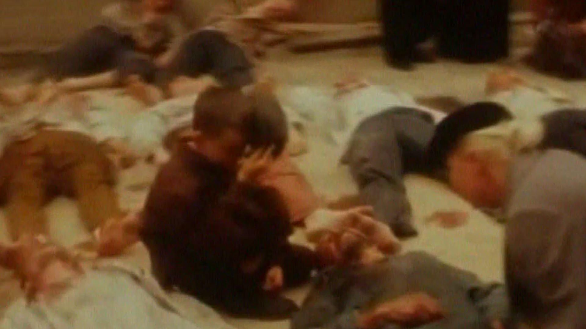 День в истории. 68 лет назад началась операция "Висла" День в истории. 68 лет назад началась операция "Висла"