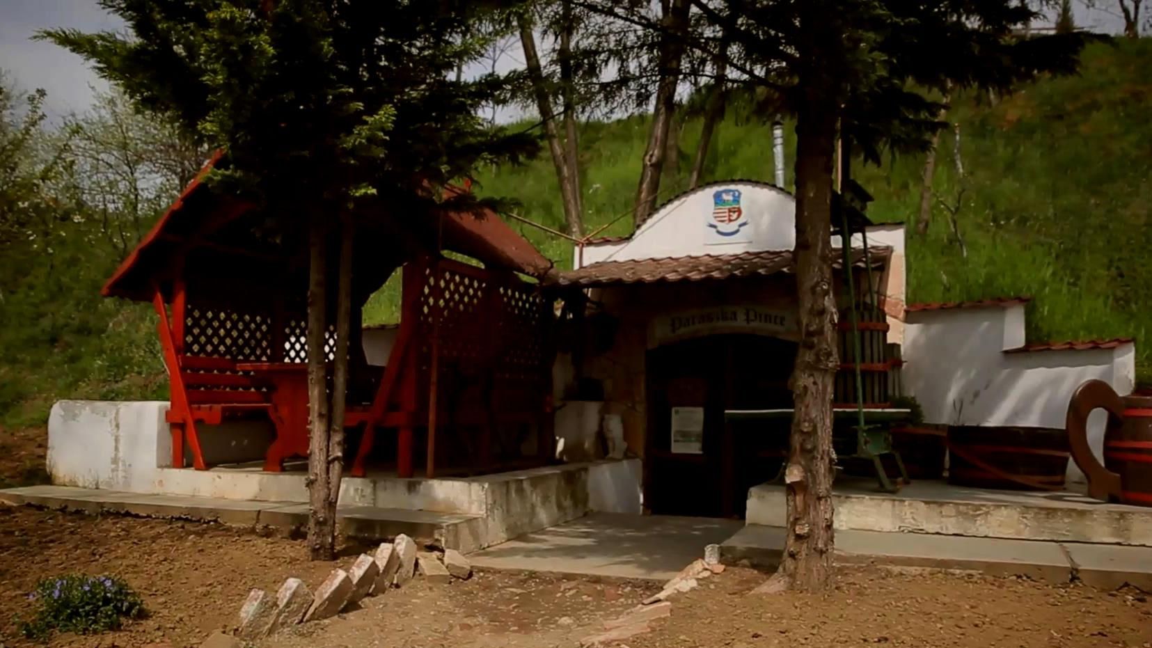 Виноградів — українська столиця виноробства Виноградів — українська столиця виноробства