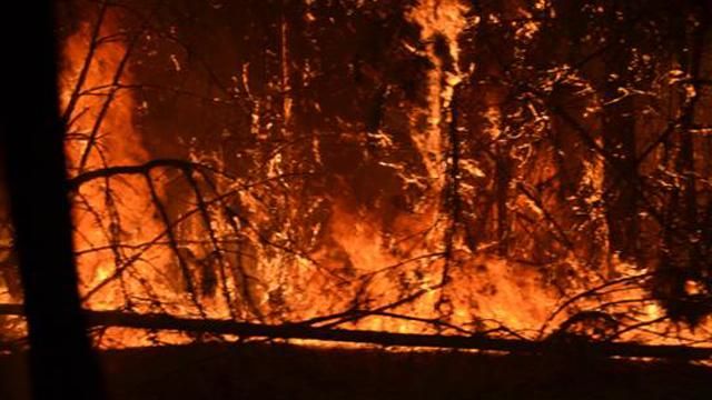 Появилось видео пожара в Чернобыльской зоне