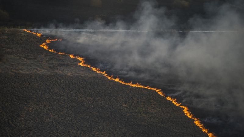Впечатляющие фото пожаров в Чернобыле Впечатляющие фото пожаров в Чернобыле