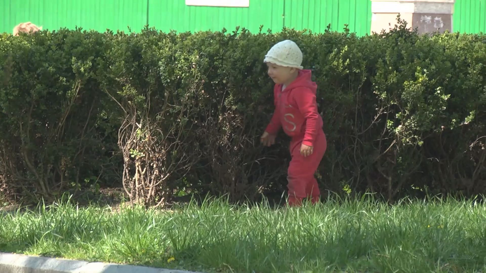 Как уберечь себя от укуса клещей Как уберечь себя от укуса клещей