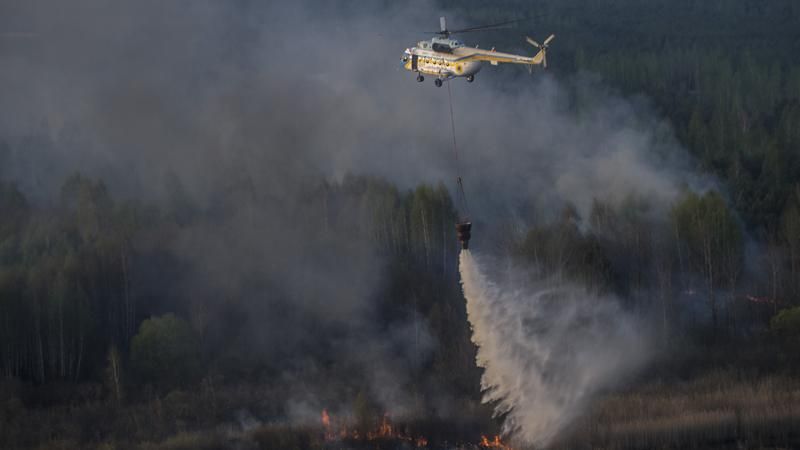 Надзвичайники повністю ліквідували пожежу під Чорнобилем