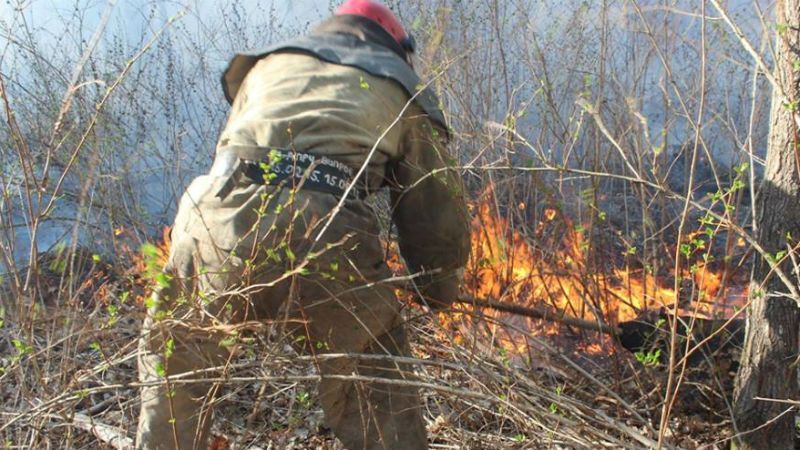 Рятувальники досі ліквідовують наслідки пожежі біля Чорнобиля