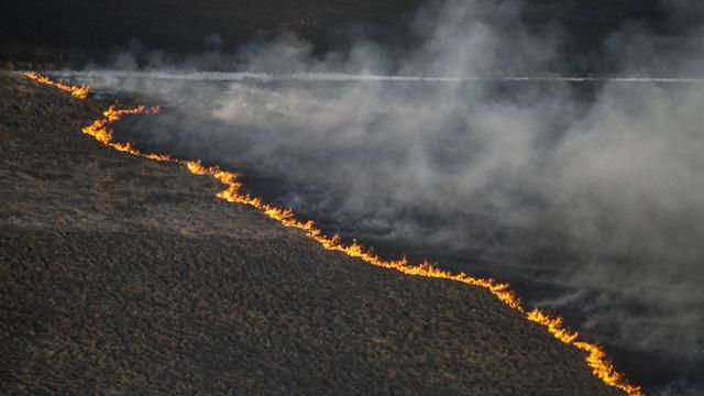 Эксперт рассказывает, чем угрожают пожары в районе Чернобыля