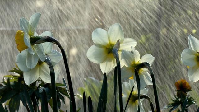 Прогноз погоды на 2 мая: дожди испортят выходной Прогноз погоды на 2 мая: дожди испортят выходной