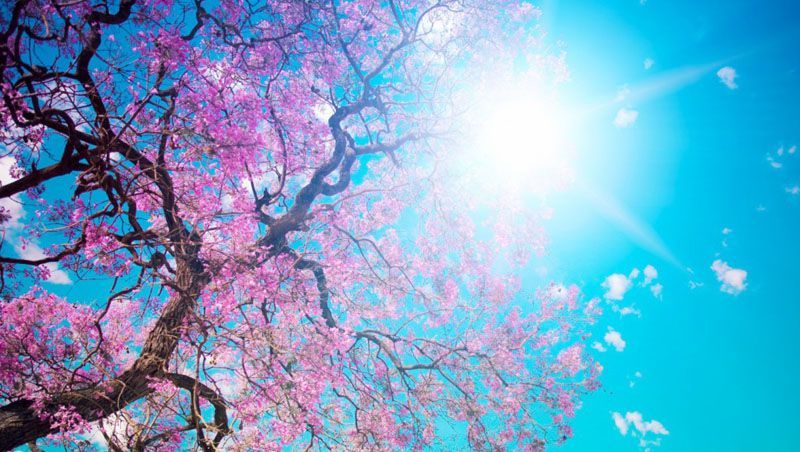 Погода на 5 травня: в Україну пробирається літо Погода на 5 травня: в Україну пробирається літо