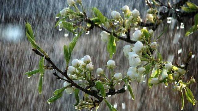 Погода 6 мая: на западе пройдут грозы