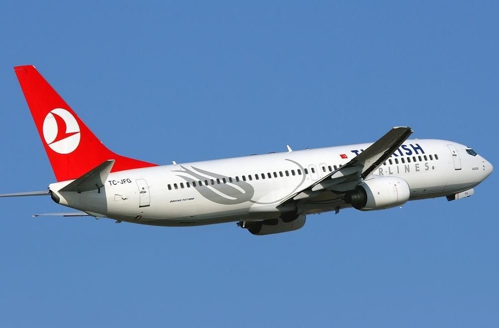 Стая птиц оставила турецкий самолет без носа