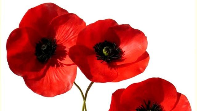 Яким буде для киян 8 і 9 травня Яким буде для киян 8 і 9 травня