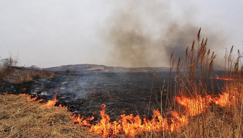 Поки буряти воюють на Донбасі — лісові пожежі знищують їхні домівки