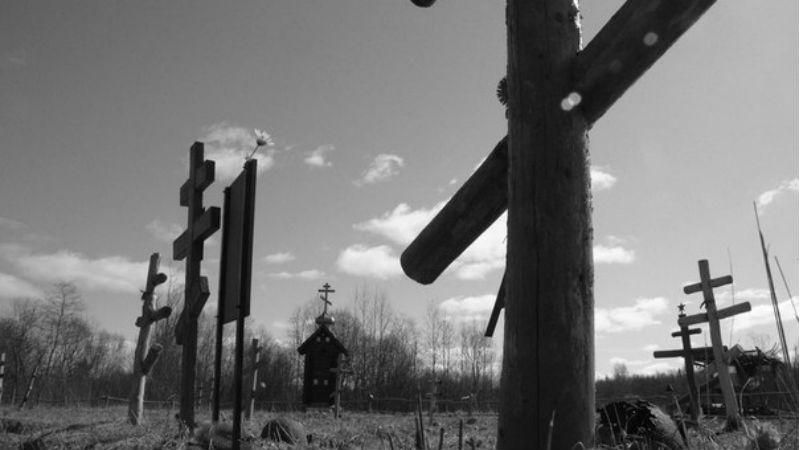 Место в России, усеянное костями и гильзами Место в России, усеянное костями и гильзами