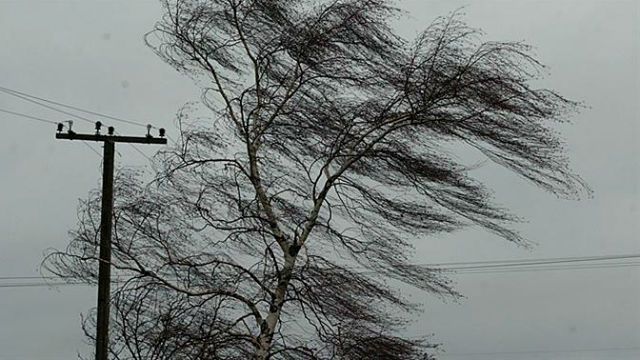 В Киеве — штормовое предупреждение - 18 мая 2015 - Телеканал новин 24 В Киеве — штормовое предупреждение - 18 мая 2015 - Телеканал новин 24