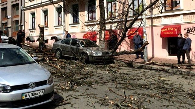 Ще одна  жертва стихії у Києві: гілка дерева вбила чоловіка