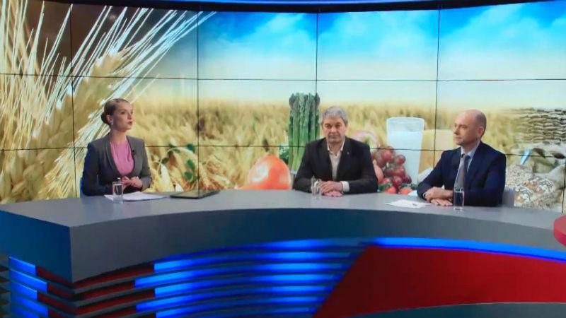 Эксперты: дефицит зерна Украине не грозит