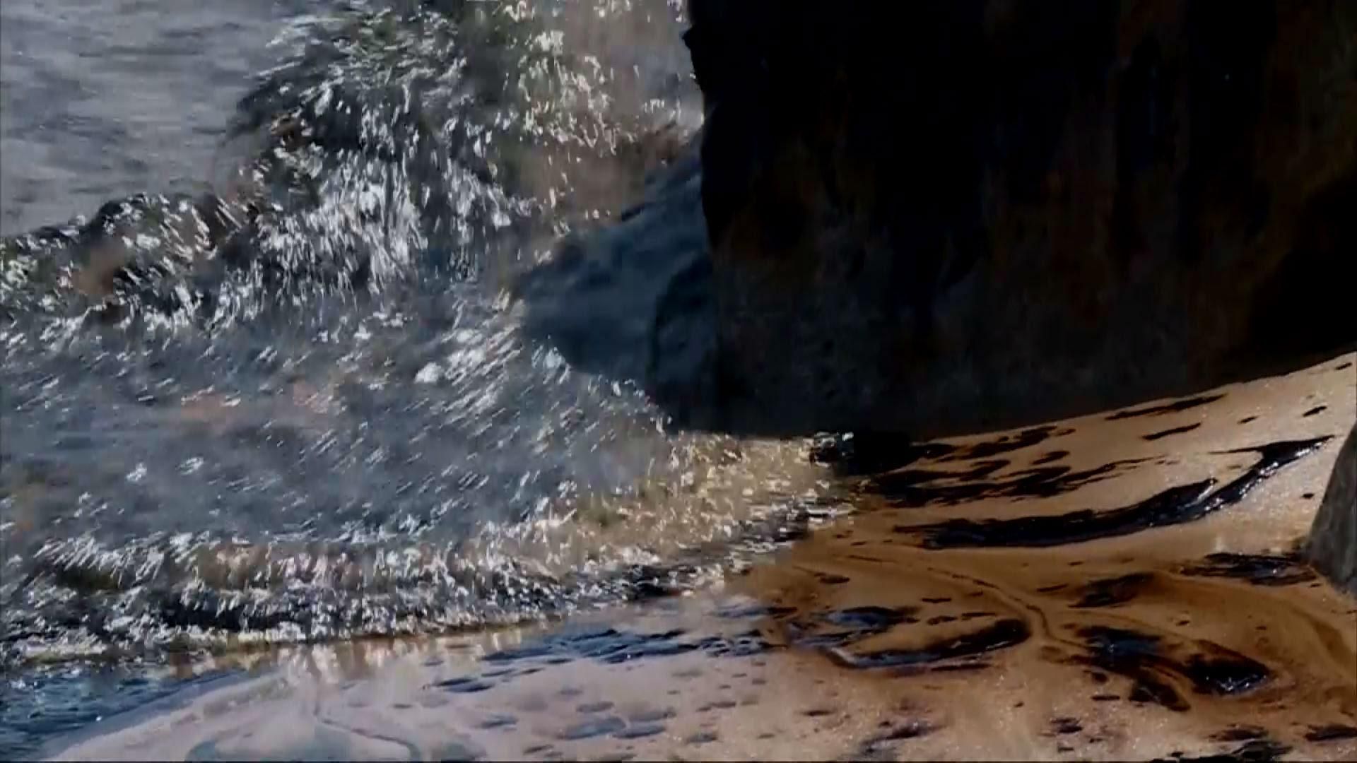 Екологічна катастрофа в Каліфорнії: розлилася нафта Екологічна катастрофа в Каліфорнії: розлилася нафта