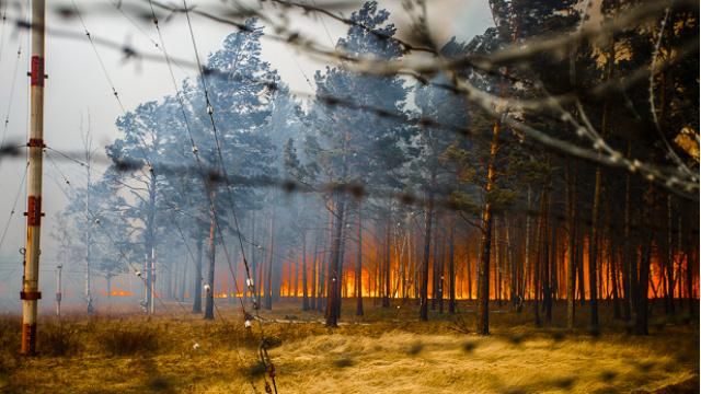 Росія у вогні: лісові пожежі у Бурятії побили річний рекорд