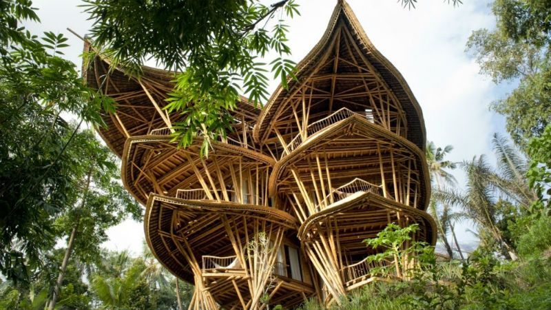 Історія жінки, яка здійснила революцію в будівництві житла Історія жінки, яка здійснила революцію в будівництві житла