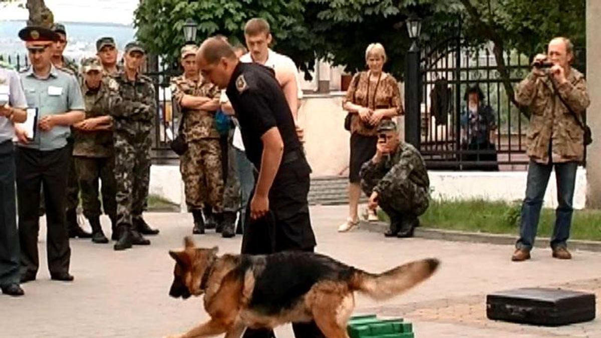 У Хмельницькому обирали собак-"міліціонерів" У Хмельницькому обирали собак-"міліціонерів"