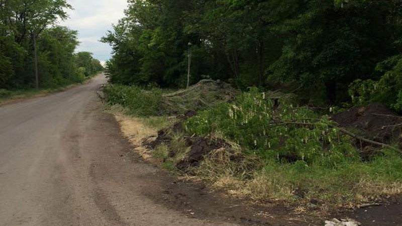 Фото дня: невидимая боевая машина бойцов АТО