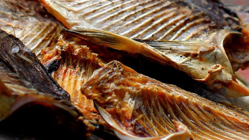 В Киеве три человека подцепили смертельную болезнь В Киеве три человека подцепили смертельную болезнь